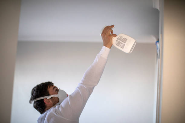 Best Localized Mold Remediation (e.g., coastal areas, humid climates) in Fort Clark Springs, TX