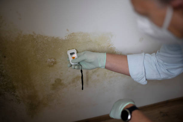 Best Crawl Space Mold Remediation in Fort Clark Springs, TX